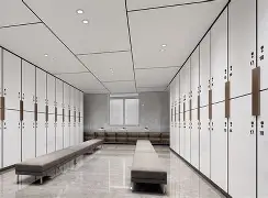 im体育网页版-风云突变阿贾克斯窗口期更衣室发声纽卡斯尔战术微调备战全明星赛，里尔清晨刷新队史纪录瞬间刷屏的简单介绍